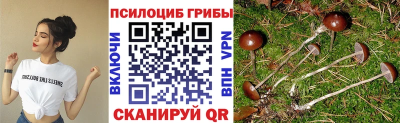 Галлюциногенные грибы Cubensis  Лесозаводск 