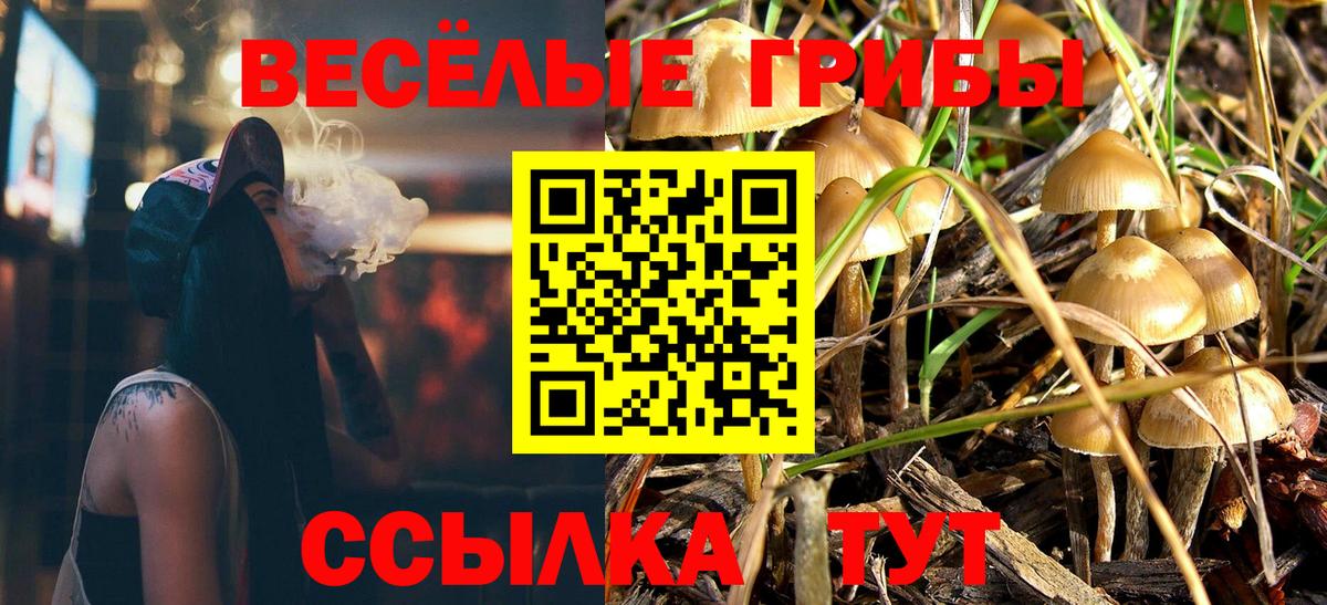Лесозаводск  Галлюциногенные грибы ЛСД  Вход с VPN 
