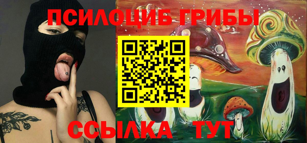 Псилоцибиновые грибы Cubensis Лесозаводск